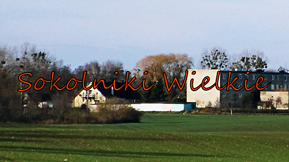 V16-27. Panorama Sokolnik Wielkich od wschodu (Miejscowoci; Szamotuy i okolice, Sokolniki Wielkie). Autor: Stanisaw Nowak, Pozna. Na licencji Creative Commons, szczegy na stronie zdjcia w Wikipedii